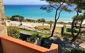 Pinus Village Apartments